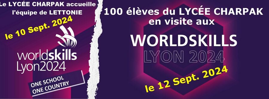 WorldSkills-Lyon-24_logo-ENT_2.jpg